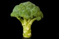 Broccoli head across black