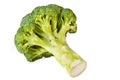 Broccoli head across white