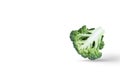 Broccoli head cut in half flipped on its side with soft shadow isolated on a white background. Royalty Free Stock Photo