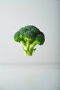 Broccoli head is floating in the air Royalty Free Stock Photo