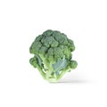 Broccoli head with soft shadow isolated on a white background. Royalty Free Stock Photo