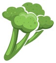 Broccoli icon. Cartoon green diet food vegetable Royalty Free Stock Photo