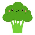 Broccoli icon. Green color. Cute cartoon kawaii character. Vegetable collection. Fresh farm healthy food. Smiling face. Education Royalty Free Stock Photo