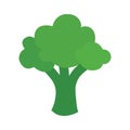 Broccoli icon. vector illustration