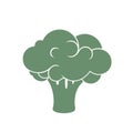 Broccoli icon vector