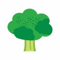 Broccoli icon vector image.