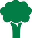 Broccoli icon vegetable