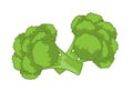 Broccoli illustration Royalty Free Stock Photo