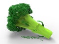 Broccoli illustration