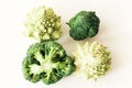 Broccoli inflorescence and roman cauliflower and on white background isolated with space for text Royalty Free Stock Photo