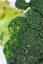 Broccoli inflorescences with water drops on a white background. Macro photography a green vegetable Royalty Free Stock Photo