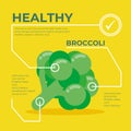 Broccoli infographic vector Design, fresh vegetable