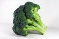 Broccoli - Isolated Royalty Free Stock Photo