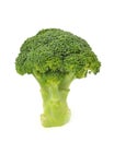 Broccoli isolated