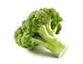 Broccoli isolated Royalty Free Stock Photo