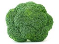 Broccoli isolated on white background Royalty Free Stock Photo