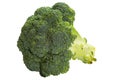 Broccoli isolated