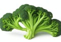 Broccoli isolated on white and background