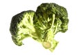 Broccoli isolated on white background