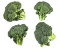 Broccoli isolated white background set Royalty Free Stock Photo