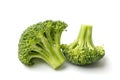 Broccoli Isolated on White Royalty Free Stock Photo