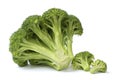 Broccoli Isolated on White Royalty Free Stock Photo