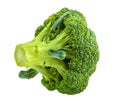 Broccoli isolated on white without shadow Royalty Free Stock Photo