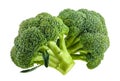 Broccoli isolated on white without shadow