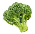 Broccoli isolated on white without shadow Royalty Free Stock Photo