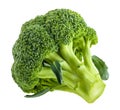 Broccoli isolated on white without shadow Royalty Free Stock Photo
