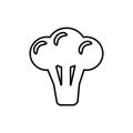 Broccoli line vector icon. Isolated cauliflower vegetable linear style for menu, label, logo. Simple vegetarian food