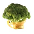 Broccoli with a metre-stick