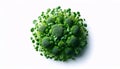 A broccoli microgreens wellness shot, Ai generated image Royalty Free Stock Photo