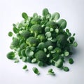 A broccoli microgreens wellness shot, Ai generated image Royalty Free Stock Photo