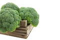 Broccoli in old wooden auction crate