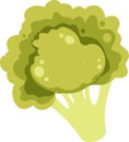 Broccoli Plant Icon