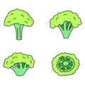 Broccoli plant icon set vector color