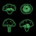 Broccoli plant icon set vector neon