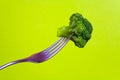 Broccoli is planted on a metal fork.