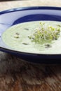 Broccoli puree soup. Royalty Free Stock Photo