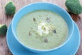 Broccoli puree soup. Royalty Free Stock Photo