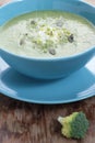 Broccoli puree soup. Royalty Free Stock Photo