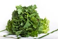 Broccoli Rabe