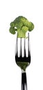Broccoli raw food isolated over white background. Royalty Free Stock Photo