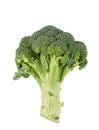 Broccoli raw food isolated over white background. Royalty Free Stock Photo