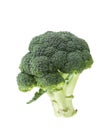 Broccoli raw food isolated over white background. Royalty Free Stock Photo