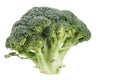 Broccoli raw food isolated over white background. Royalty Free Stock Photo