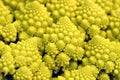 Broccoli Romanesco - Broccoli Nutrient Varieties Royalty Free Stock Photo