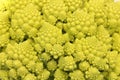 Broccoli Romanesco - Broccoli Nutrient Varieties Royalty Free Stock Photo