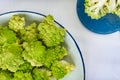 Broccoli of the Romanescu variety, on a tin plate with a blue border
